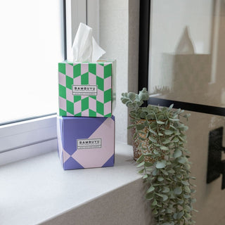 two Tissue boxes in the bathroom windows with a show plan next to it.