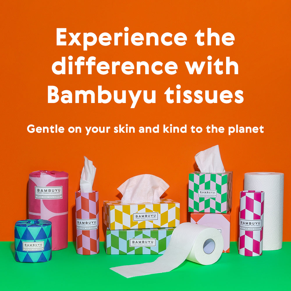 Full range of Bambuyu bamboo tissue products including toilet rolls, facial tissue boxes, and kitchen roll